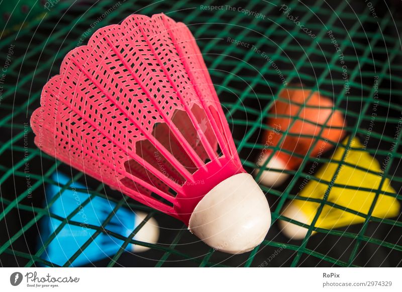 Badminton-Birdie auf einem Schläger. Lifestyle Stil Design Gesundheit sportlich Fitness Wellness Leben Freizeit & Hobby Spielen Sport Bildung Kindergarten