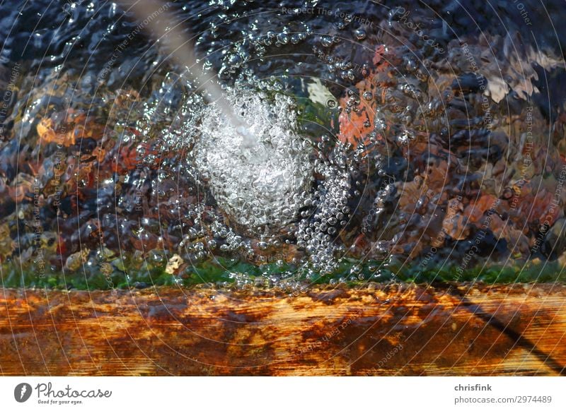 Wasser läuft in Brunnen Schwimmen & Baden Garten Park Bach Wasserfall trinken schön sprudelnd Viehtränke Blase Farbfoto mehrfarbig Außenaufnahme Tag