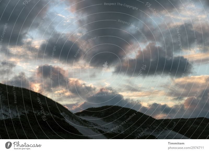 Jütländischer Nachthimmel Umwelt Natur Landschaft Himmel Wolken Dänemark Gefühle Düne Dünengras Farbfoto Außenaufnahme Menschenleer Abend Licht Schatten