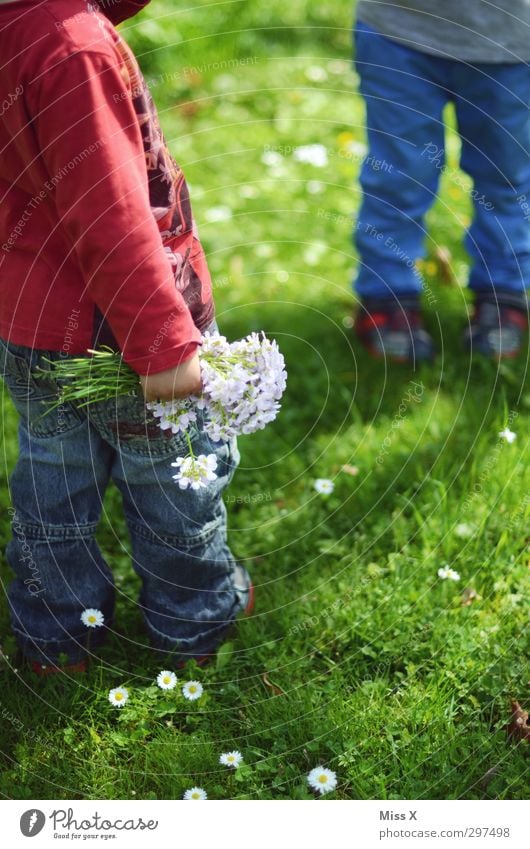 Muttertag Mensch Kind Kleinkind Geschwister Bruder Familie & Verwandtschaft Freundschaft Kindheit Beine 2 1-3 Jahre 3-8 Jahre Pflanze Frühling Sommer