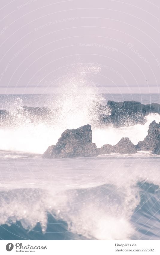 oh Bali Ferien & Urlaub & Reisen Freiheit Strand Meer Insel Umwelt Natur Wasser Himmel Wolken Sommer Wind Wellen Küste Bucht Stein Kraft Farbfoto Außenaufnahme