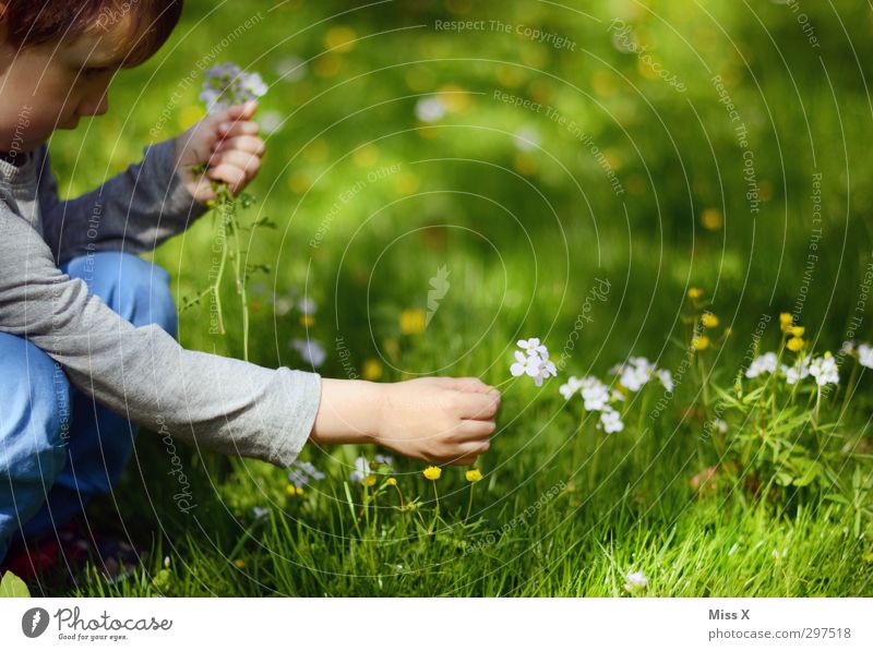 Und noch eine Blume für Mama Garten Valentinstag Muttertag Mensch Kind Kleinkind Kindheit 1 1-3 Jahre 3-8 Jahre Frühling Sommer Gras Blüte Wiese Blühend