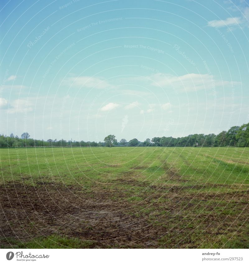 Sommer Natur Landschaft Erde Himmel Horizont Frühling Feld natürlich blau grün Erholung Idylle Klima Umwelt Ferne Wolken ruhig Gras positiv Jahreszeiten