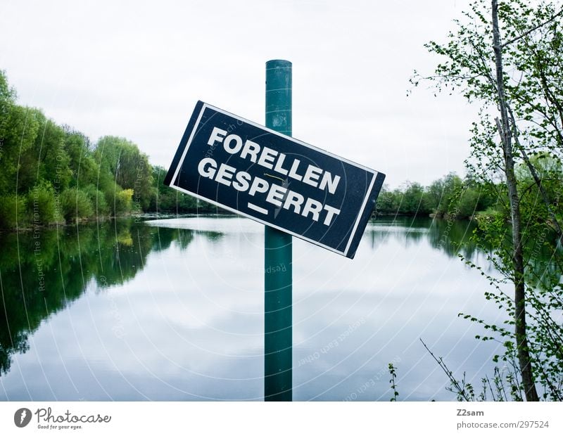 FORELLEN G E S P E R R T Fischereiwirtschaft Umwelt Natur Landschaft Himmel Pflanze Baum Sträucher Seeufer Schilder & Markierungen Hinweisschild Warnschild