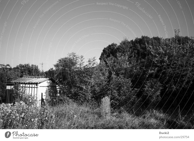 Schuppen Wiese Scheune Schwarzweißfoto Schrebergarten Gartenhaus Lagerschuppen Sträucher Menschenleer Schönes Wetter