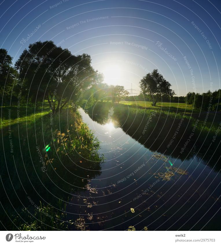 Binnengraben Umwelt Natur Landschaft Pflanze Wasser Wolkenloser Himmel Horizont Sonne Frühling Baum Gras Sträucher Wiese Bach Kanal leuchten Gelassenheit