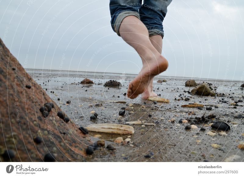 Rømø | Smells like ... Freizeit & Hobby Ferien & Urlaub & Reisen Ausflug Abenteuer Ferne Expedition Sommer Strand Meer Insel Mann Erwachsene Fuß 1 Mensch Sand