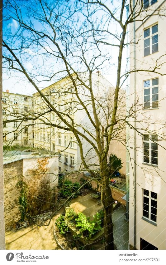 Hof mit mehr Sonne Häusliches Leben Haus Garten Umwelt Natur Klima Wetter Schönes Wetter Baum Stadt Hauptstadt Bauwerk Mauer Wand Fassade Fenster gut Altbau