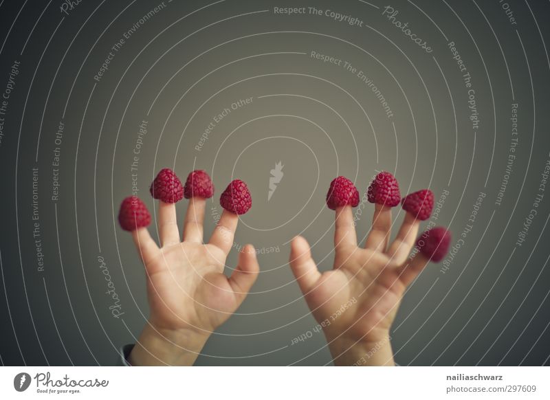 Lecker! Lebensmittel Frucht Himbeeren Ernährung Bioprodukte Vegetarische Ernährung Diät Fingerfood Mensch Hand 3-8 Jahre Kind Kindheit Duft Spielen toben frech