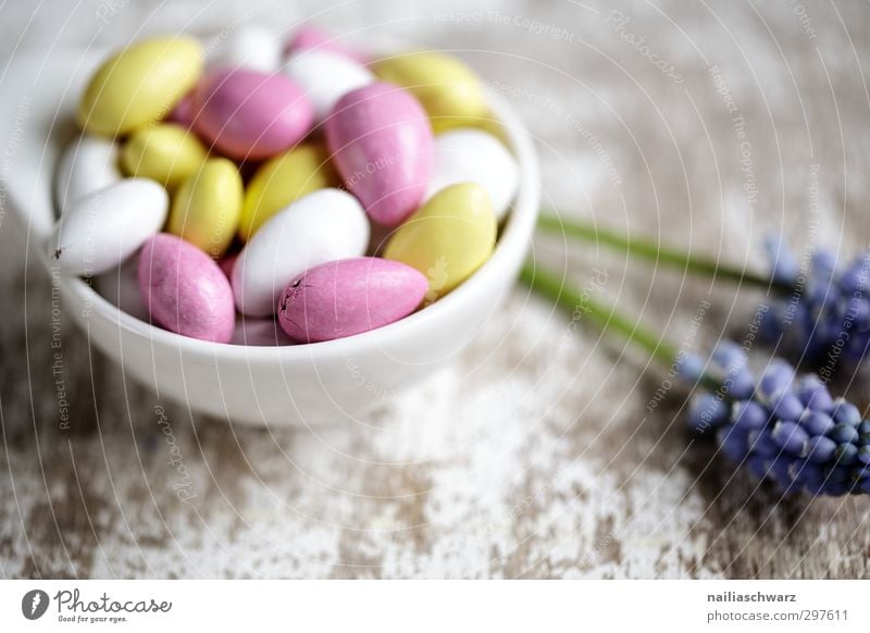 süße Sünde Dessert Süßwaren Nuss Mandel Zuckermandel Ernährung Schalen & Schüsseln einfach frisch schön lecker natürlich niedlich positiv rund blau mehrfarbig