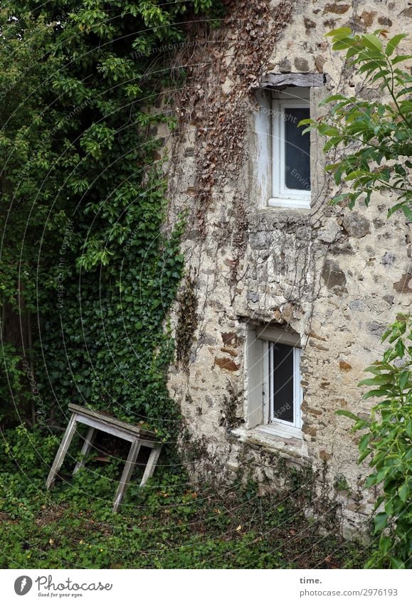 Immer an der Wand lang | angeheitert Häusliches Leben Wohnung Haus Garten Renovieren Tisch Efeu Wiese Bauwerk Gebäude Mauer Fenster alt außergewöhnlich dunkel