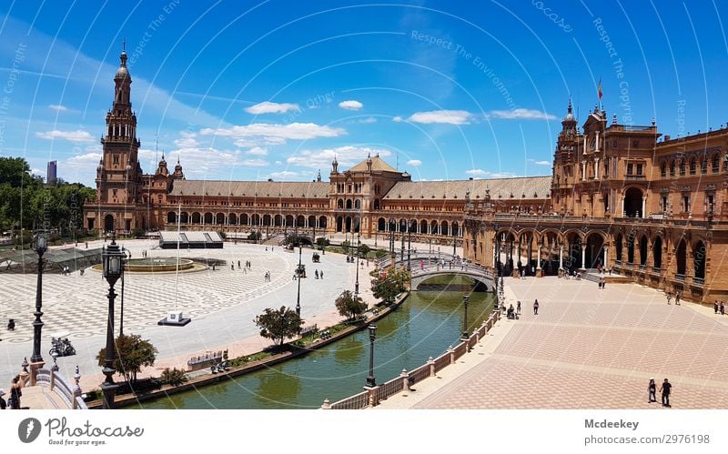 Plaza de España (Sevilla) Tier Himmel Wolken Sommer Schönes Wetter Wärme Pflanze Baum Blume Park Andalusien Spanien Europa Stadt Stadtzentrum Altstadt bevölkert