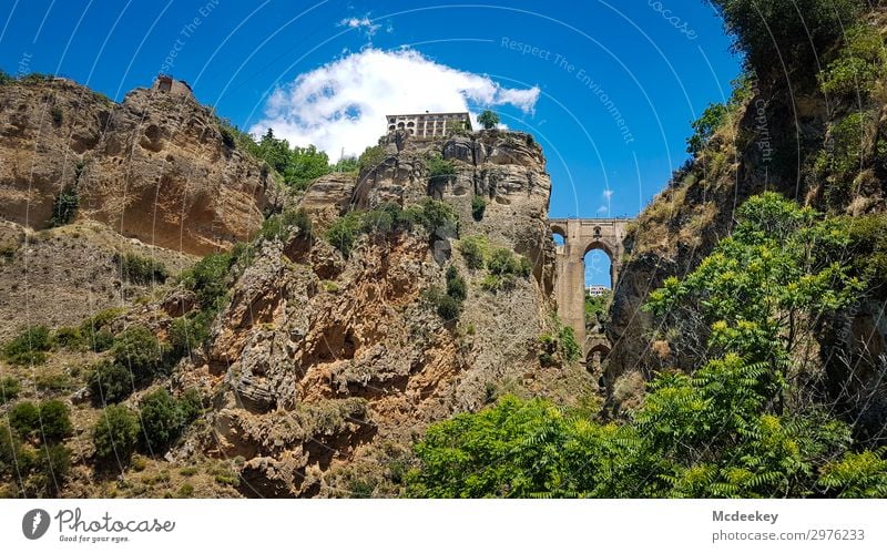 Ronda II Umwelt Natur Landschaft Pflanze Himmel Wolken Sonne Sonnenlicht Sommer Schönes Wetter Wärme Baum Sträucher Grünpflanze Wildpflanze exotisch Felsen