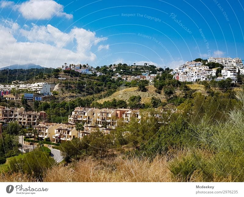 Cómpeta Natur Landschaft Himmel Wolken Sonne Sommer Schönes Wetter Wärme Pflanze Baum Blume Gras Sträucher Andalusien Spanien Europa Dorf Kleinstadt Haus