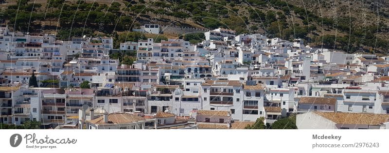 Mijas Natur Landschaft Pflanze Berge u. Gebirge Andalusien Spanien Europa Dorf Kleinstadt Altstadt bevölkert Haus Bauwerk Architektur Mauer Wand Fassade