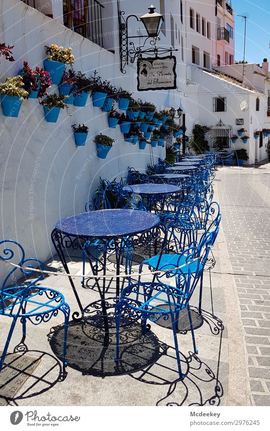 Mijas Sommer Schönes Wetter Pflanze Blume Andalusien Spanien Europa Dorf Kleinstadt Stadtzentrum Altstadt bevölkert Haus Platz Marktplatz Bauwerk Architektur