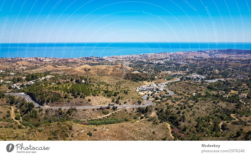 Marbella Natur Landschaft Erde Himmel Horizont Sommer Schönes Wetter Pflanze Baum Blume Gras Sträucher Feld Küste Andalusien Spanien Europa Stadt bevölkert