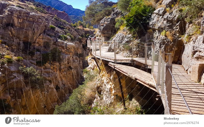 Caminito del Rey Mensch Menschengruppe Umwelt Natur Landschaft Pflanze Himmel Wolkenloser Himmel Sonne Sommer Schönes Wetter Wärme Dürre Baum Gras Sträucher