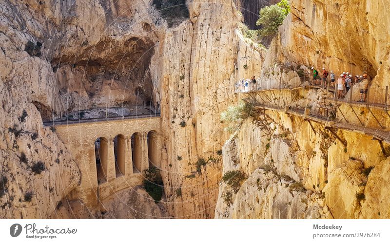 Caminito del Rey Klettern Bergsteigen Mensch Menschengruppe Umwelt Natur Landschaft Sommer Schönes Wetter Wärme Dürre Felsen Schlucht Andalusien Spanien Europa