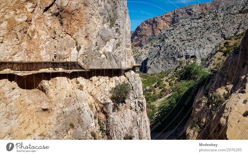 Caminito del Rey Umwelt Natur Landschaft Himmel Wolkenloser Himmel Sommer Schönes Wetter Wärme Dürre Pflanze Baum Sträucher Felsen Schlucht Andalusien Spanien