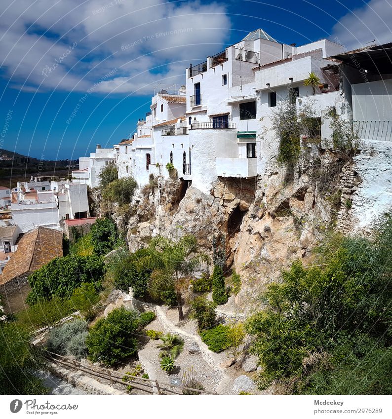 Cómpeta Natur Landschaft Himmel Wolken Sommer Schönes Wetter Pflanze Baum Blume Sträucher Felsen Andalusien Spanien Europa Dorf Kleinstadt Altstadt Haus Bauwerk