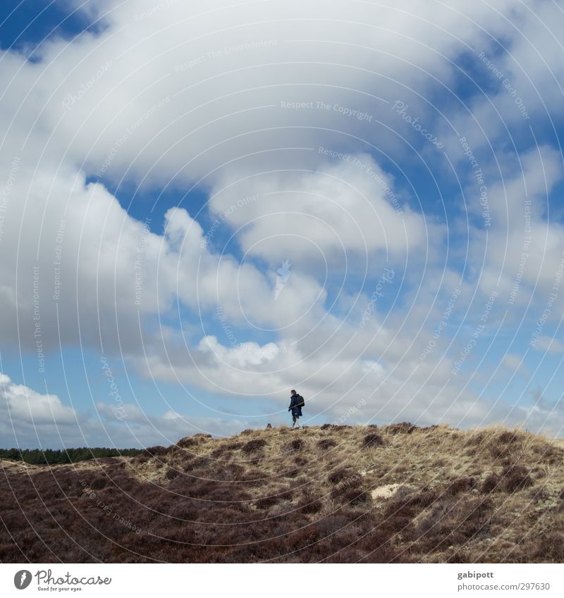 Rømø | Hinterland Umwelt Natur Landschaft Urelemente Himmel Wolken Horizont schlechtes Wetter Hügel Felsen wandern wild Bewegung Erholung Freizeit & Hobby