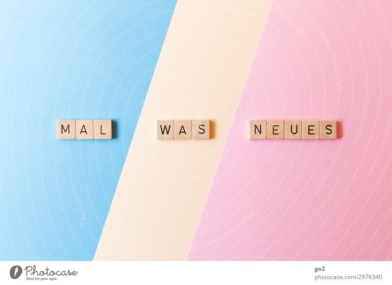 Mal was neues Spielen Papier Holz Schriftzeichen ästhetisch außergewöhnlich Freundlichkeit Fröhlichkeit frisch Neugier positiv Freude Zufriedenheit Lebensfreude