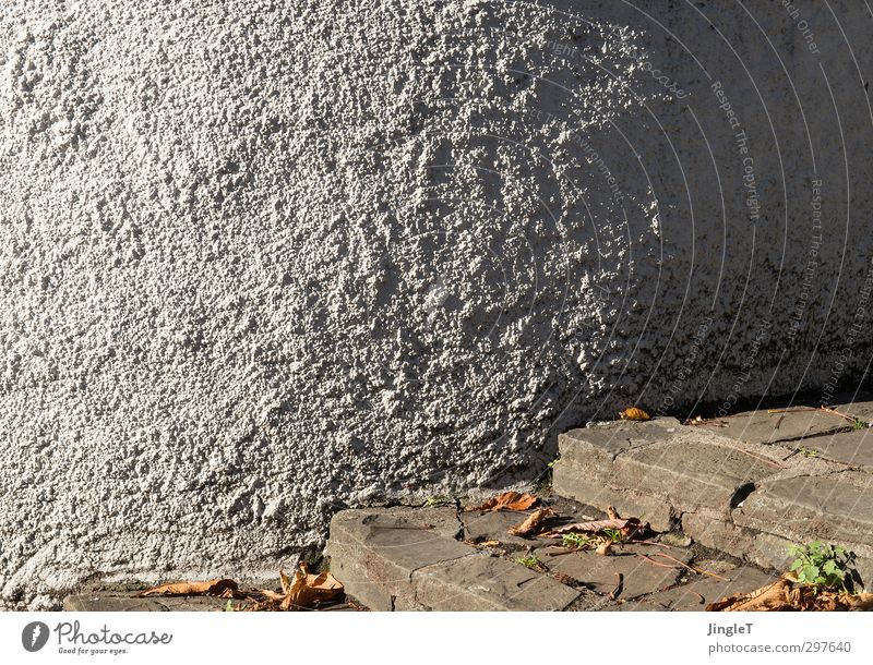 Einsamkeit Mauer Wand Treppe Fassade entdecken trist braun grün weiß Farbfoto Außenaufnahme Menschenleer Textfreiraum links Textfreiraum rechts