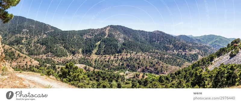 Mountain street in inland Andalucia Natur Landschaft Berge u. Gebirge wandern Freiheit Freizeit & Hobby Klima Ferne Andalucianational Park