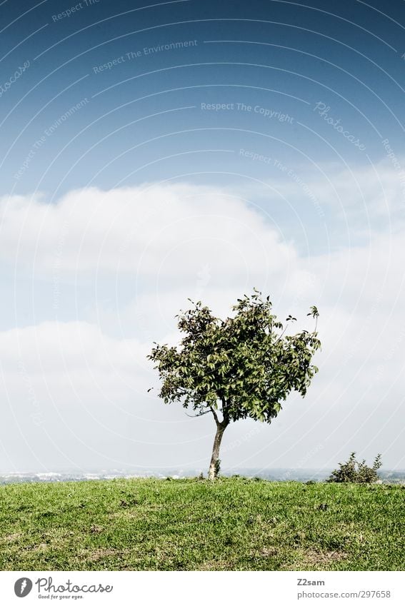 Feierabend-Platzerl Umwelt Natur Landschaft Himmel Wolken Horizont Sommer Schönes Wetter Baum Wiese Berge u. Gebirge einfach frisch nachhaltig natürlich ruhig