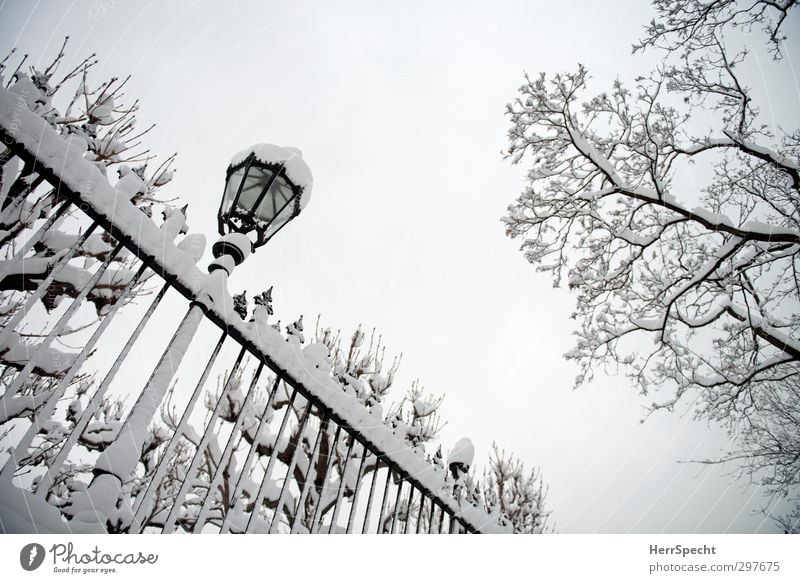 People's Park - 17Jan2013 Natur Winter Eis Frost Schneefall Baum Wien Wiener Ringstraße Österreich Stadtzentrum Altstadt kalt grau schwarz weiß Schneelandschaft