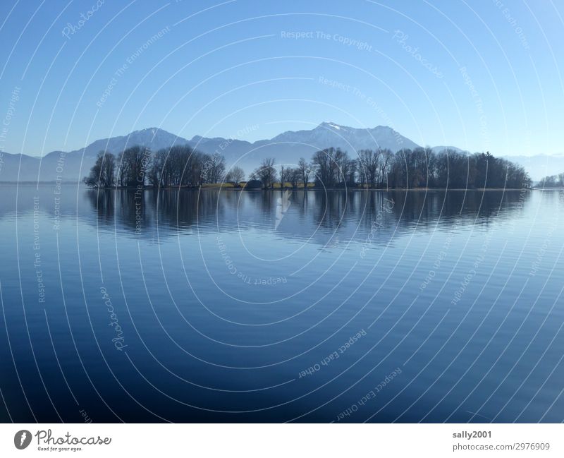 still... Natur Wolkenloser Himmel Winter Schönes Wetter Baum Berge u. Gebirge Alpen Kampenwand Seeufer Insel Chiemsee Bekanntheit kalt natürlich Gelassenheit