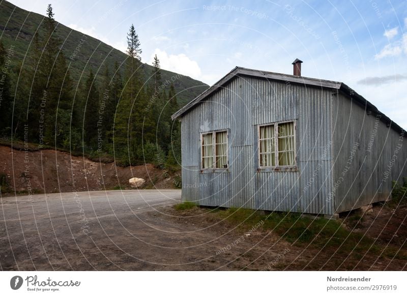 Wellblechhütte Wohnung Haus Renovieren Arbeitslosigkeit Himmel Baum Wald Stadtrand Menschenleer Hütte Gebäude Fassade Fenster Straße Wege & Pfade