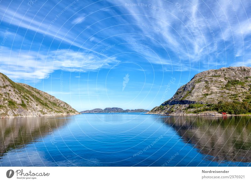 Fjordlandschaft Ferien & Urlaub & Reisen Tourismus Ferne Kreuzfahrt Sommer Meer Natur Landschaft Urelemente Wasser Himmel Wolken Schönes Wetter Felsen