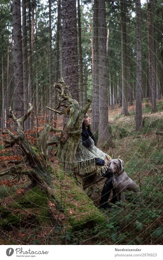 Verschmelzen Lifestyle harmonisch Sinnesorgane Erholung ruhig Meditation Ausflug wandern Mensch feminin Frau Erwachsene Urelemente Herbst Baum Gras Wald