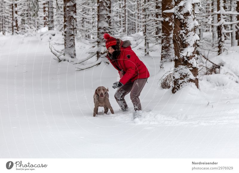 Toben im Schnee Freizeit & Hobby Ausflug Winter Winterurlaub Weihnachten & Advent Silvester u. Neujahr Mensch feminin Frau Erwachsene Leben Eis Frost Schneefall