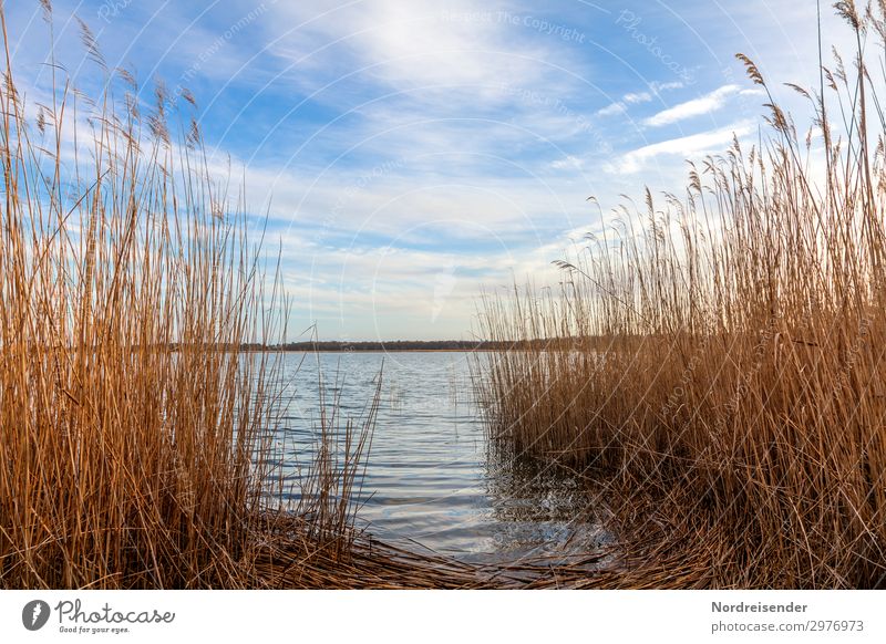 Bodden Ferien & Urlaub & Reisen Camping Fahrradtour Natur Landschaft Pflanze Wasser Himmel Wolken Frühling Sommer Herbst Schönes Wetter Seeufer Ostsee Moor