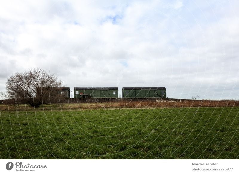 Abstellgleis Güterverkehr & Logistik Natur Himmel Wolken Baum Gras Sträucher Wiese Feld Dorf Stadtrand Menschenleer Bahnhof Schienenverkehr Eisenbahn Güterzug