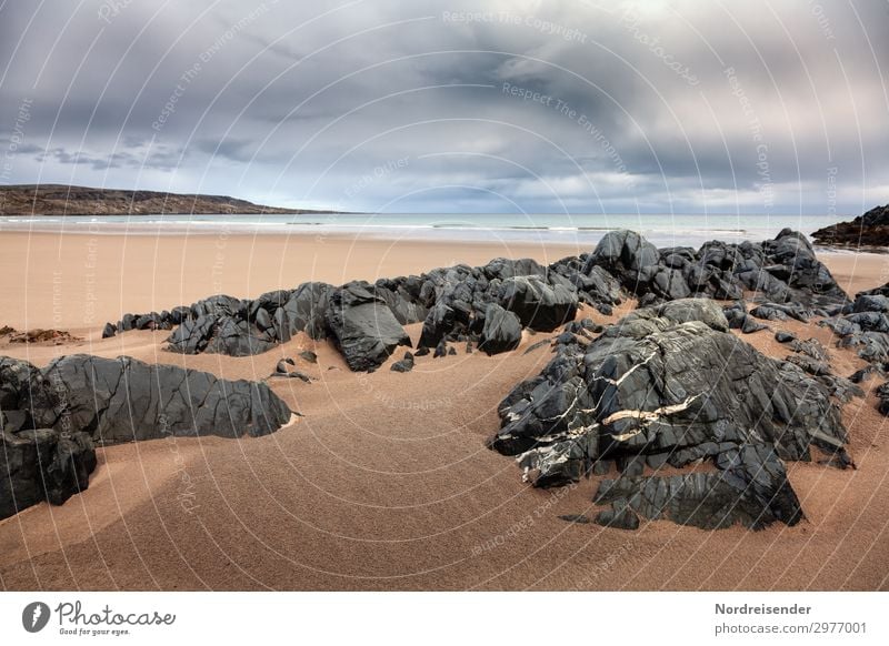 Barentssee Ferien & Urlaub & Reisen Abenteuer Ferne Freiheit Meer Insel Natur Landschaft Urelemente Sand Luft Wasser Wolken Frühling Sommer Herbst Klima Wetter