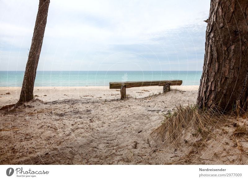 Idyllischer Platz am Weststrand harmonisch ruhig Meditation Ferien & Urlaub & Reisen Tourismus Sommer Strand Meer Natur Landschaft Wasser Baum Gras Nordsee