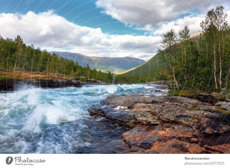 Kaltes klares Wasser Ferien & Urlaub & Reisen Abenteuer Freiheit Camping Sommer Natur Landschaft Urelemente Wolken Schönes Wetter Baum Wald Felsen