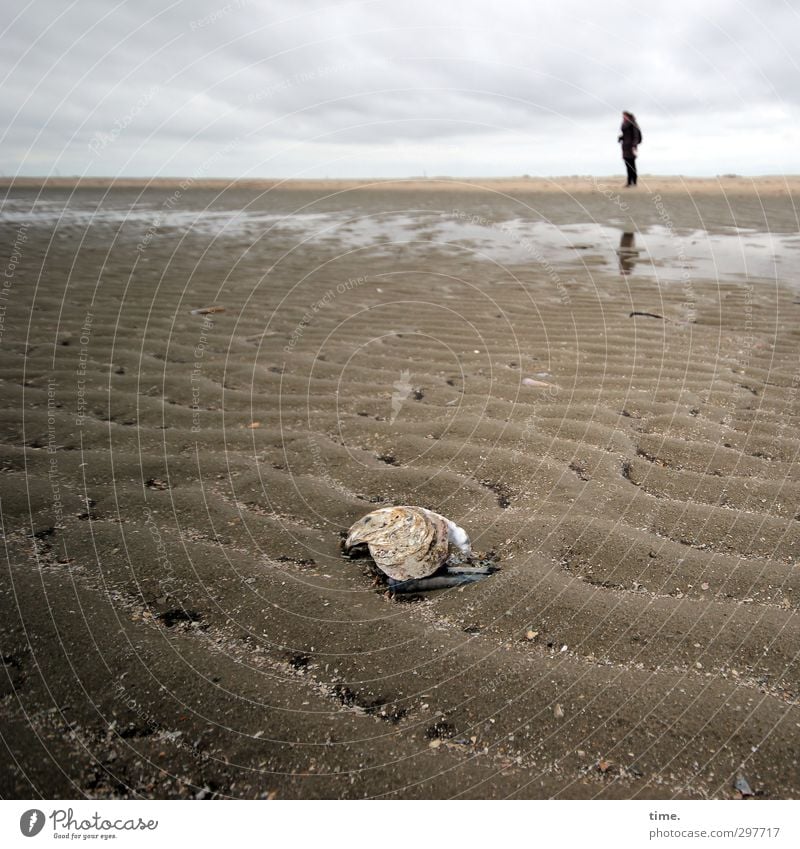 Rømø | im-richtigen-moment am richtigen Ort 1 Mensch Umwelt Himmel Wolken Horizont Küste Strand Nordsee Muschel Tier stehen Erholung Ewigkeit Freiheit