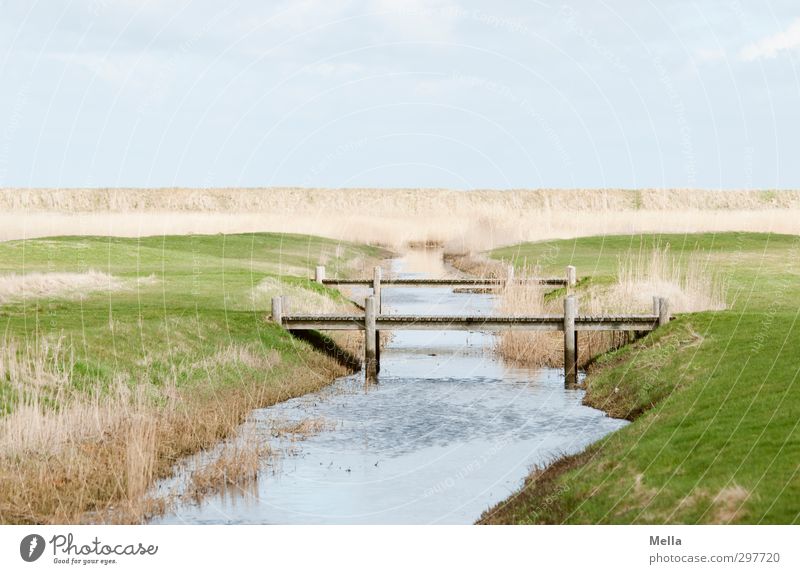 Rømø | Brücken bauen Umwelt Natur Landschaft Erde Gras Wiese Bach Wege & Pfade hell Idylle ruhig Farbfoto Außenaufnahme Menschenleer Textfreiraum oben Tag