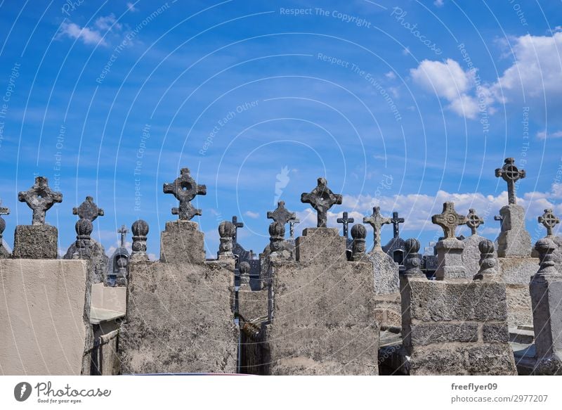 Spanischer Friedhof Halloween Himmel Nebel Baum Stein alt dunkel gruselig schwarz Tod Angst Entsetzen Religion & Glaube Hintergrund Grab gotisch Grabstein