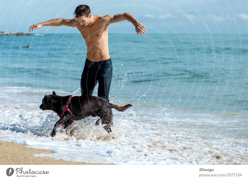 junger Mann spielt mit Hund am Strand bei Sonnenaufgang. Lifestyle Freude Glück Freizeit & Hobby Spielen Ferien & Urlaub & Reisen Sommer Meer Mensch maskulin