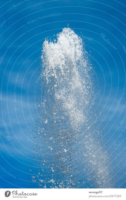 Große Fontäne Springbrunnen Luft Wasser Himmel Sommer Schönes Wetter Park nah nass blau weiß ruhig Leichtigkeit Wasserfontäne sprudelnd Sprudelsäule spritzig