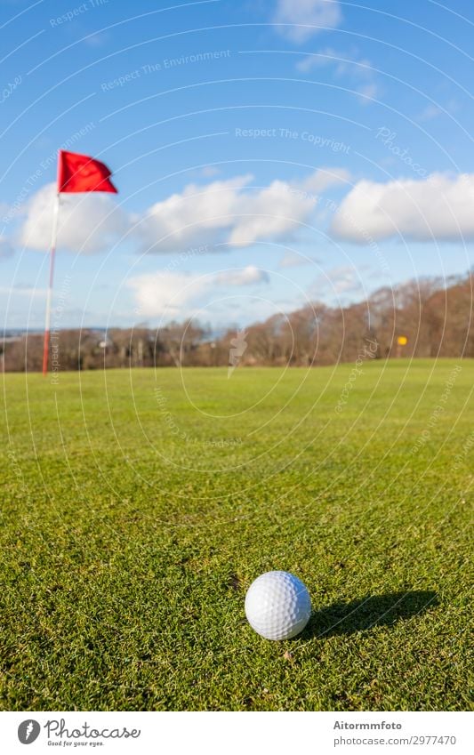 Golf grün Lifestyle schön Erholung Freizeit & Hobby Spielen Ferien & Urlaub & Reisen Sommer Sonne Club Disco Sport Erfolg Natur Landschaft Himmel Baum Gras