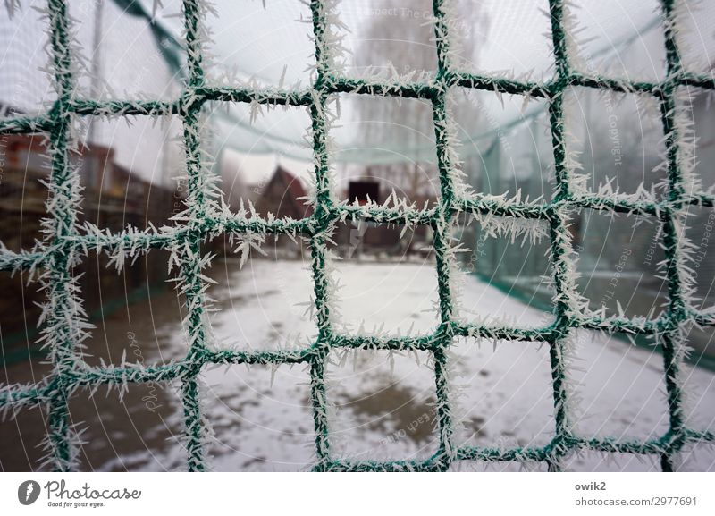 Kühlbox Sport Sportstätten Sportplatz Basketballplatz Himmel Winter Nebel Eis Frost Schnee Baum Netz Seil gespannt Kunststoff kalt Spitze stachelig Schutz