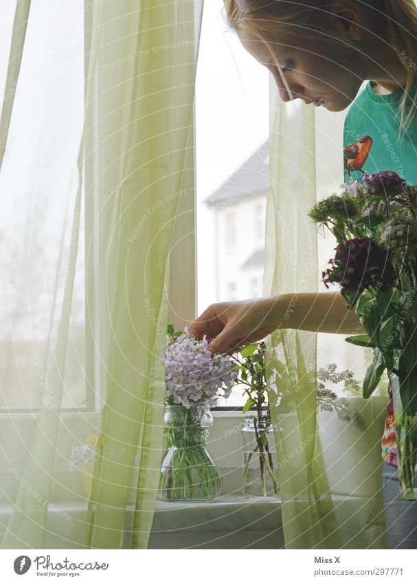 Die Gärtnerin Dekoration & Verzierung Mensch Junge Frau Jugendliche 1 18-30 Jahre Erwachsene Blume Blüte Topfpflanze Blühend Duft schön Gefühle Stimmung ruhig