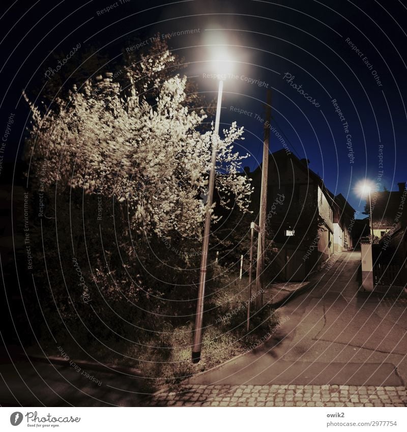 Schmal und steil Wolkenloser Himmel Nachthimmel Baum Sträucher Reudnitz Thüringen Deutschland Dorf bevölkert Haus Gasse Straßenbeleuchtung leuchten dunkel ruhig